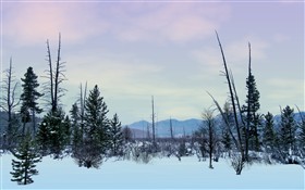 Tundra