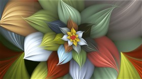 May Flower