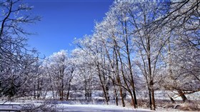 Creekside Snow