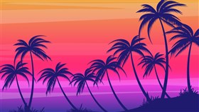Beachy Palm Trees