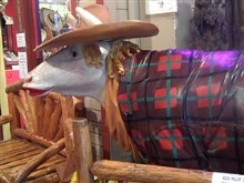 Howdy Pardner