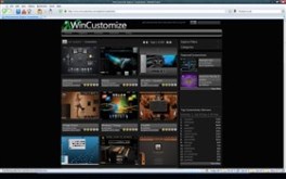 Wincustomize
