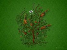 Orchestra