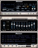 Pioneer Professional