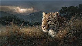 Deep in the Grass