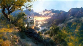 An Owl in the West