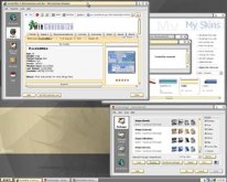 for the love of wincustomize2
