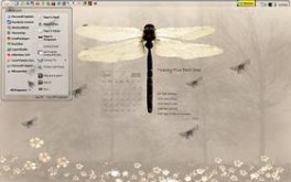 Dragonfly