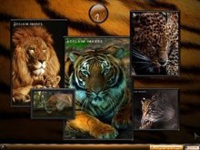 My Favorites- Part 2  BIG CATS!