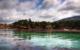 Whalers Cove II