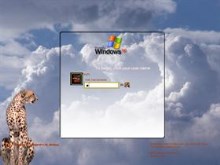Windows XP Cheetah