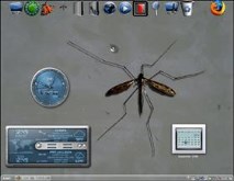 screenie