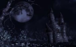 A mystic night
