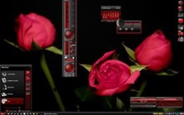 Cyberoses
