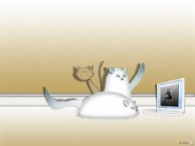 The Secret World Of Cats