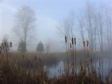 Doc's Autumn Pond