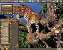 Predator