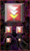 FlashGet