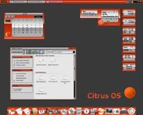 jarget Citrus OS 1.0