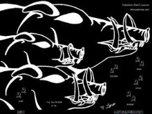 Kamapua`a (Wild Boar)