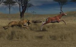 Hunting Time (Large)