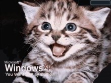 You Want to Play Ecition