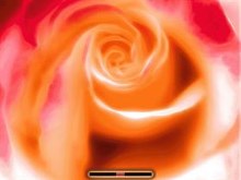 Love Rose v2