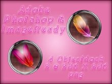 Adobe Pair