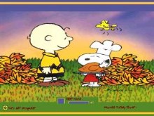 Peanuts Turkey Dinner