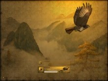 Hawk