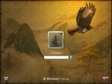 Hawk_vista7