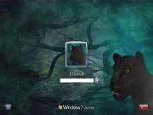 Night Panther_vista7