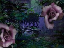Jungle Rose_wallpak