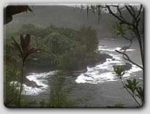 Lost Island
