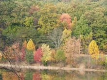 Fall at the creek