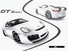 Carrera gt sport