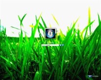 Grass Logonxp