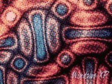 Fractal 17