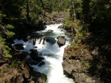 Creekside 1