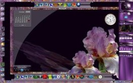 Iris