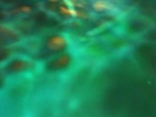 Green Glow