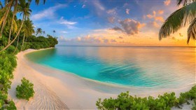 Epic Tropical