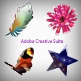 Adobe Creative Suite