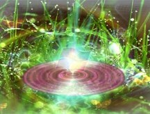 Ripples DreamXM Advanced