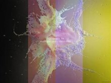Macroplastic 09