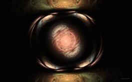 Seed