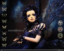 Lady butterfly