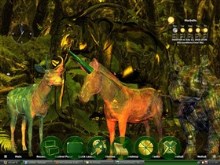 Enchanted Forest