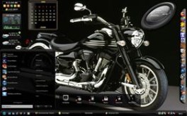 Black Shine Custom49'