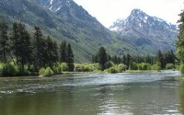 Another Lake